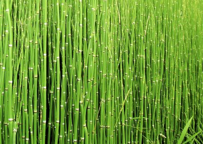 Sustainable Ecommerce: Greening the Fiber